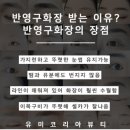 유미코리아 이미지