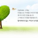 안경, 봄날 이미지