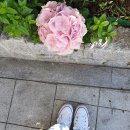 제경한의원 이미지