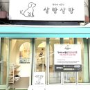 살랑살랑 펫미용 이미지