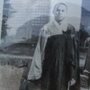 대자연횟집 이미지