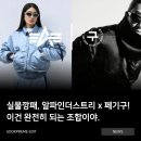 캡슐M | 되는조합! 알파인더스트리 x 페기구 협업 캡슐컬렉션 소식과 실물 후기