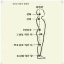 필라테스요가(2부) 이미지