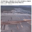 뿌리 태양광발전소 이미지
