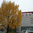 성주군보건소(건강증진센터) Daum카페
