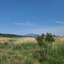 강변여관 이미지