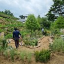 꽃과 식물로 정원가꾸기 이미지