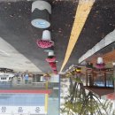 증평읍사무소 이미지