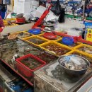 성일상회 | [부산맛집]자갈치시장 284번 부산상회에서 꽃게에 곰장어 먹은후기+애견동반가능