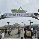 봄꽃·나비·체험까지 완벽했던 함평나비대축제 후기 (먹거리·체험 총정리)