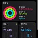 오빠야농장 | 울산 영남알프스 간월재 _억새밭, 단풍구경, 사슴농장코스
