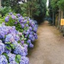 아침노을펜션 이미지