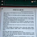 대원사 | 보성여행) 대원사 천년 사찰 힐링여행 / 보성 가볼만한곳 벚꽃 명소 벚꽃길 후기