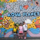 아쿠아 풀(AQUA POOL) | 클락 아쿠아플라넷 후기 | 아이와 가볼만한 워터파크 &amp; 가족 여행 꿀팁