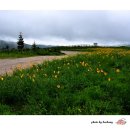 화원목장 이미지