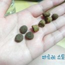 리인프리 이미지