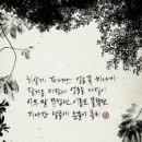 경희야생화