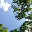 어느 맑은 날 이미지