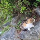 호저중학교 이미지