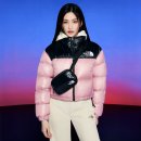 노벨티투어주 | 노스페이스 눕시 패딩 사이즈 색상별 피팅후기 (S M L 전 사이즈)