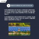 법인녹색드림 이미지