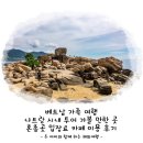 운동화목욕하는날 | 베트남 나트랑 시내 투어 가볼 만한 곳 혼총곶 입장료 카페 이용 후기