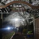 탄동천2 이미지