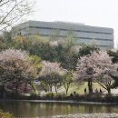 수원대학교 이미지