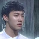 라쏘 이미지