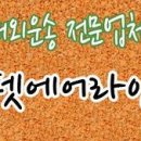 펫에어라인