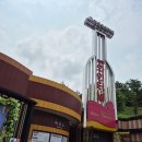과일나라테마공원3 | 충북 영동 실내가볼만한곳 레인보우 힐링 관광지 내 와인터널 할인 팁