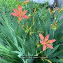 동빙고(근린공원) 이미지