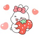 힙플조이 이미지