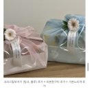 12바구니 | 부모님 첫 인사 선물추천 과일더소유 과일바구니 내돈내산 후기