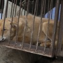 한겨레농장 이미지