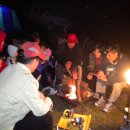 소나무둥지 이미지