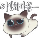 유명반점 이미지