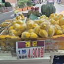 대영할인마트 이미지