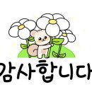 태흥공인중개사사무소 이미지