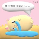 5. [급구] 무조건 내 편 들어줄 사람 괌 💗