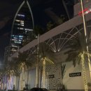 [신혼여행] 몰디브&amp;두바이 #3 - 요모조모 Dubai 탐방🐪