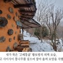 고메똥골