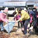 직지사천 이미지