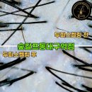 숲칼프 동대구역점 이미지
