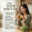 동의보감해독한의원 | [약초] 쑥보다 인진쑥 검색 급등? 간편 차 루틴으로 이어지는 이유와 주의 포인트