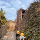 골때리는 탕수육 | 뇽과 함께 베이징으로 . . ➁