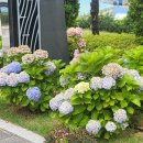 울산대교전망대주차장화장실 이미지