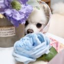 내손으로 만드는 우리옷 이미지