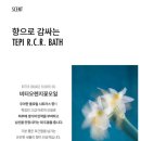 테피 | 제주탄산온천으로 순환 리셋, 셀룰라이트 케어 다이어트입욕제 테피 후기