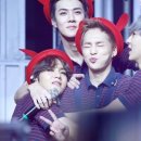 데이민 이미지